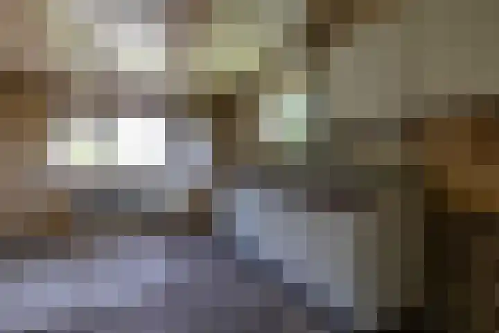 Doniawei 109 Damwâld thumbnail 29