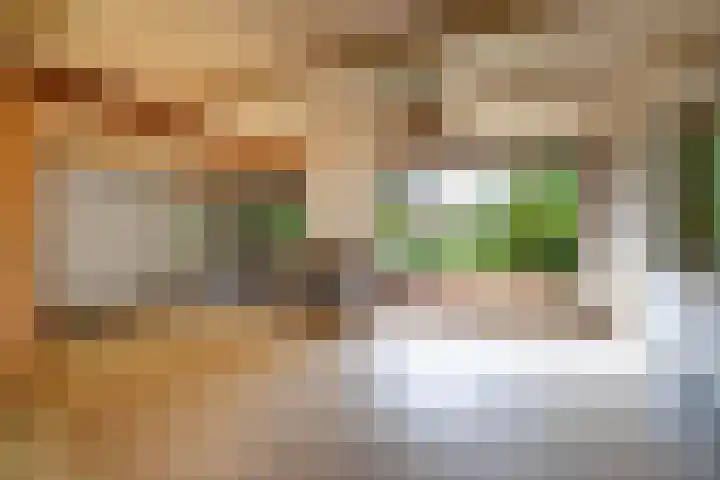 Doniawei 109 Damwâld thumbnail 30