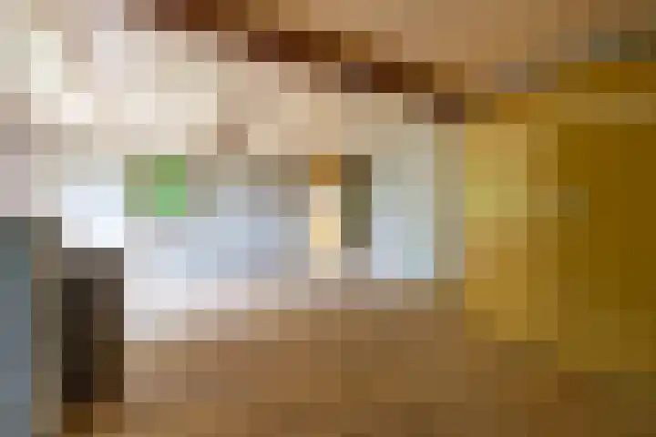 Doniawei 109 Damwâld thumbnail 34