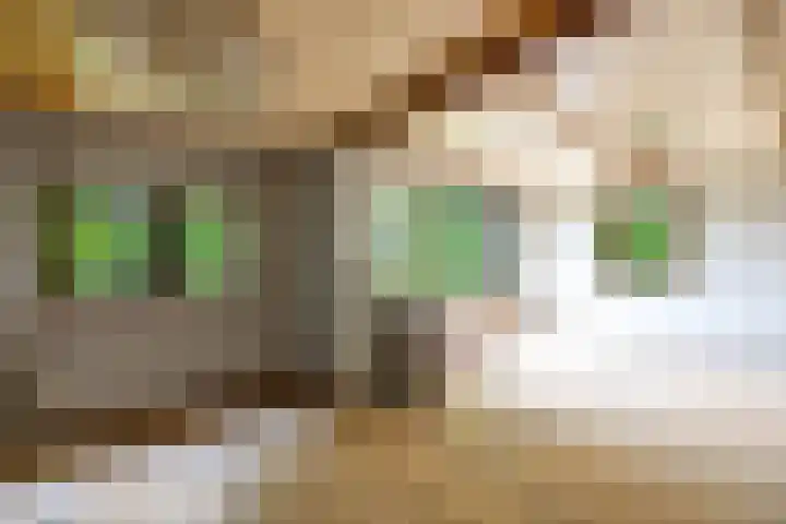 Doniawei 109 Damwâld thumbnail 36
