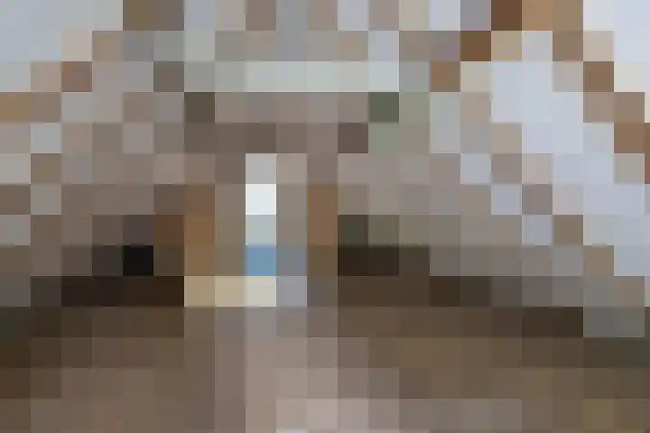 Doniawei 109 Damwâld thumbnail 41