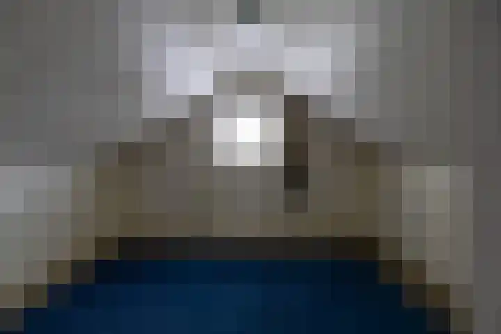 Doniawei 109 Damwâld thumbnail 42