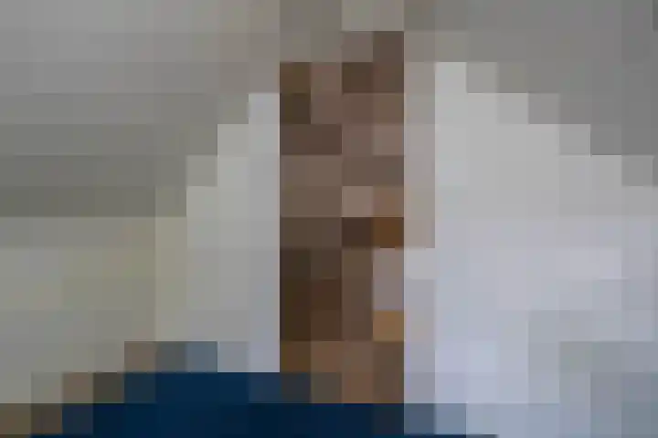 Doniawei 109 Damwâld thumbnail 43