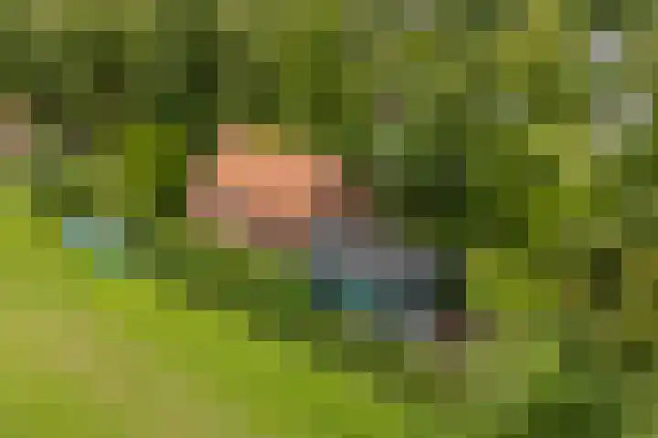 Doniawei 109 Damwâld thumbnail 5