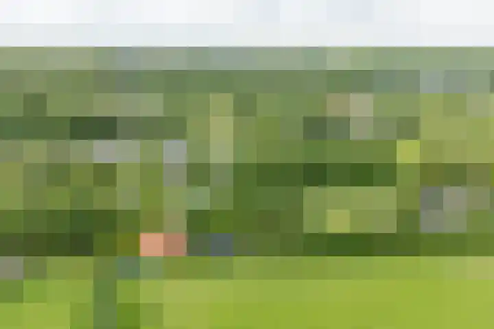Doniawei 109 Damwâld thumbnail 7