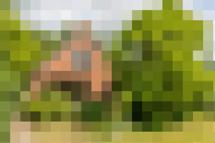 Doniawei 109 Damwâld thumbnail 8