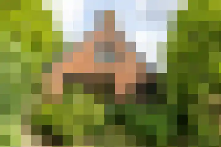 Doniawei 109 Damwâld thumbnail 9