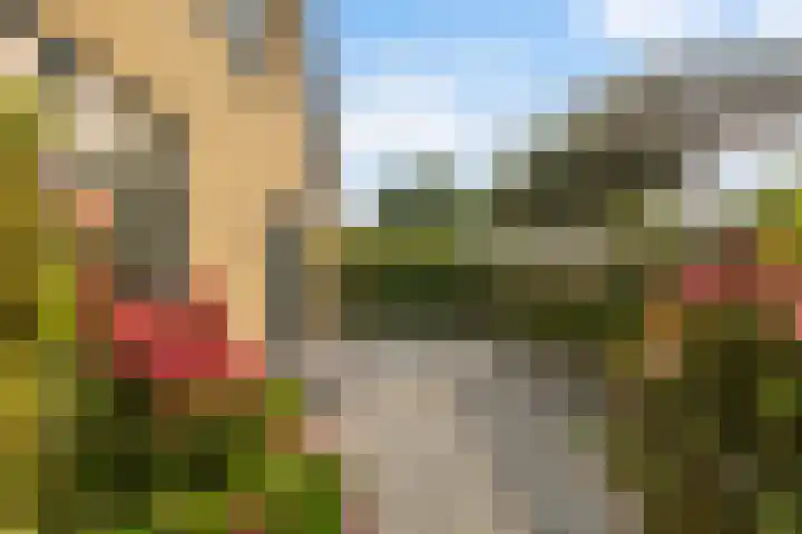 Doniawei 26 A Damwâld thumbnail 11