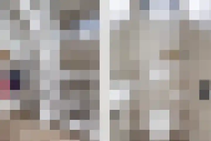 Doniawei 26 A Damwâld thumbnail 14