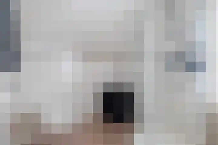 Doniawei 26 A Damwâld thumbnail 25