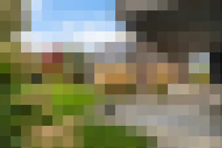 Doniawei 26 A Damwâld thumbnail 33