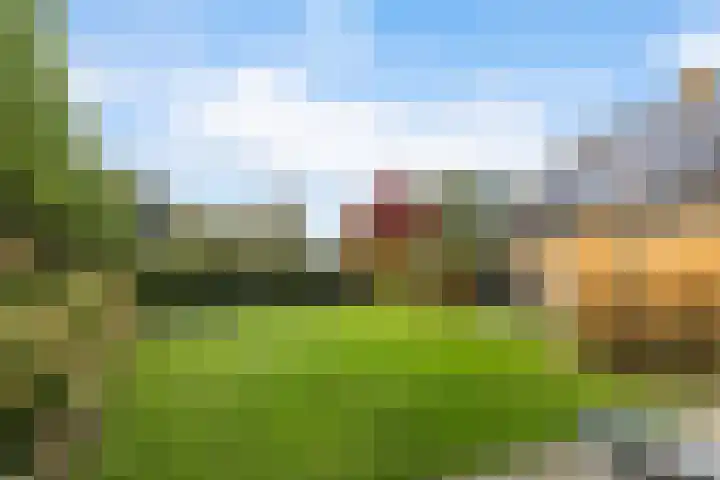 Doniawei 26 A Damwâld thumbnail 34