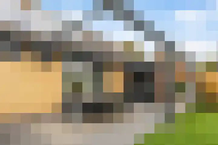 Doniawei 26 A Damwâld thumbnail 35