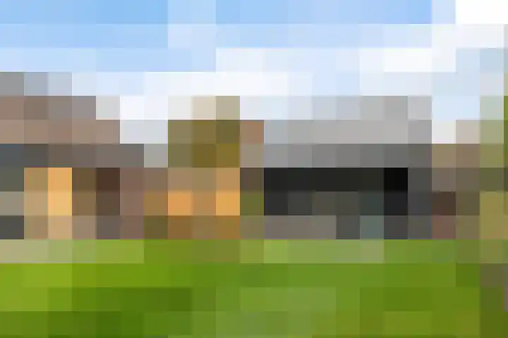 Doniawei 26 A Damwâld thumbnail 36