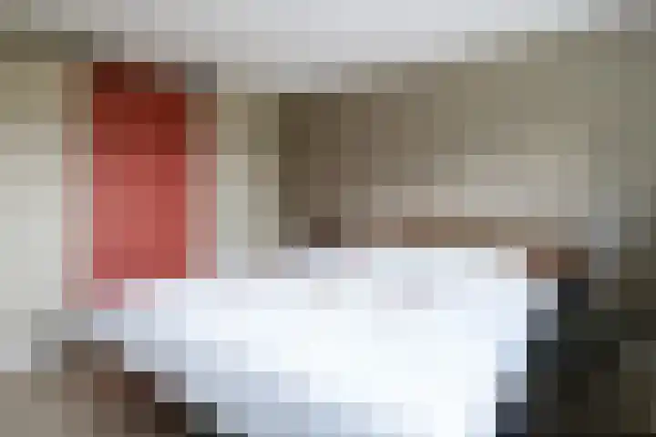 Doniawei 26 A Damwâld thumbnail 4