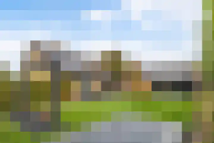 Doniawei 26 A Damwâld thumbnail 5