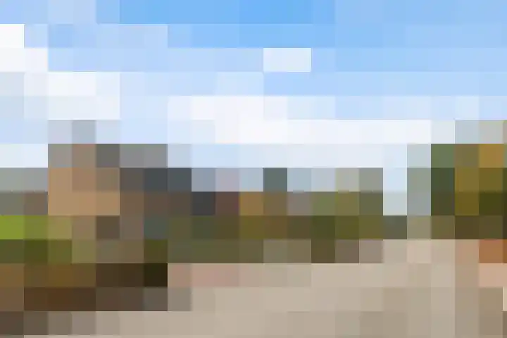 Doniawei 26 A Damwâld thumbnail 7