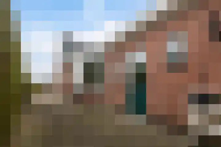 Doniawei 61 Damwâld thumbnail 11