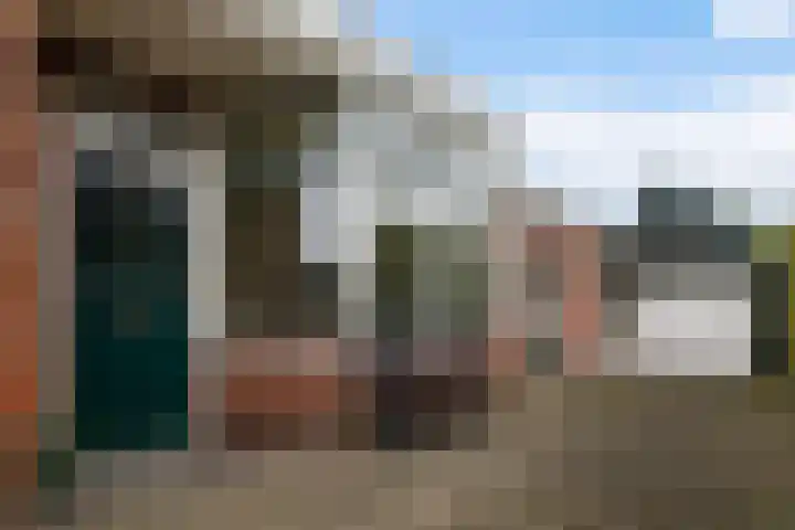 Doniawei 61 Damwâld thumbnail 13