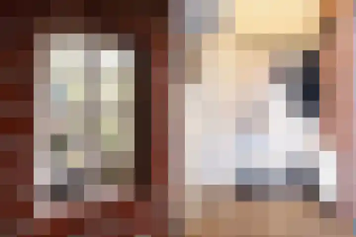 Doniawei 61 Damwâld thumbnail 16
