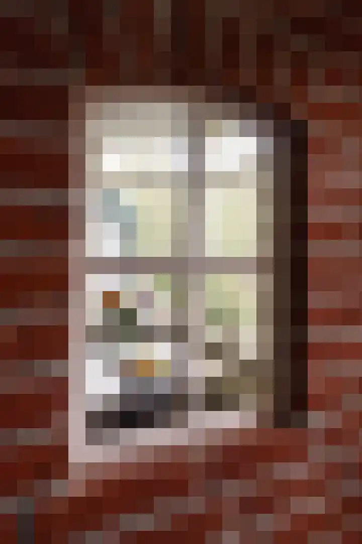 Doniawei 61 Damwâld thumbnail 17