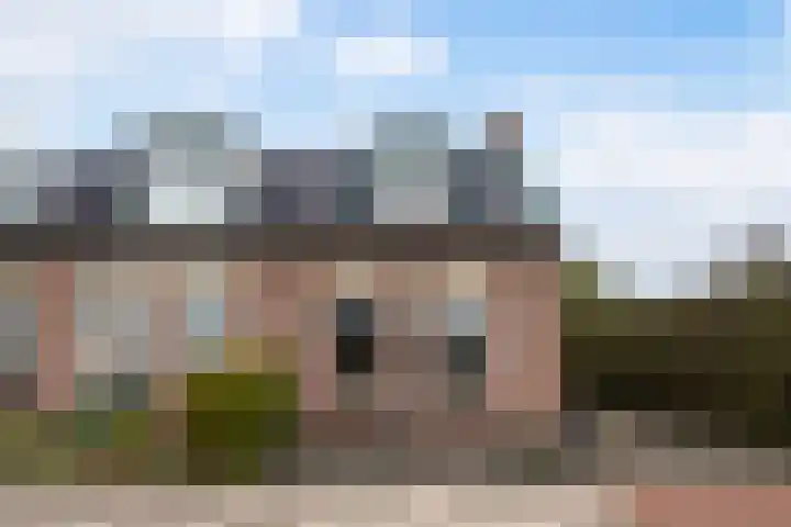Doniawei 61 Damwâld thumbnail 4