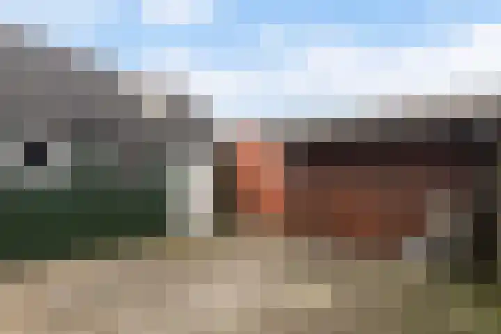 Doniawei 61 Damwâld thumbnail 40