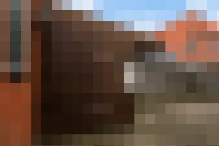 Doniawei 61 Damwâld thumbnail 42