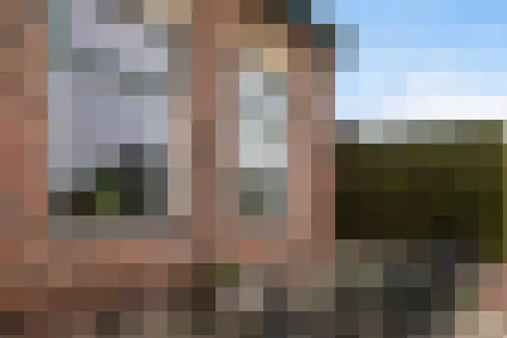 Doniawei 61 Damwâld thumbnail 7