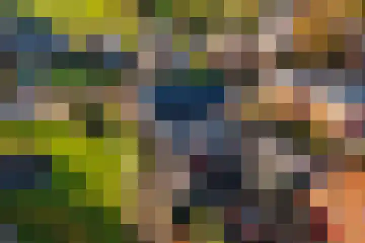 Doniawei 61 Damwâld thumbnail 8