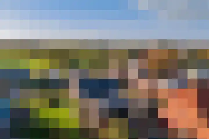 Doniawei 61 Damwâld thumbnail 9