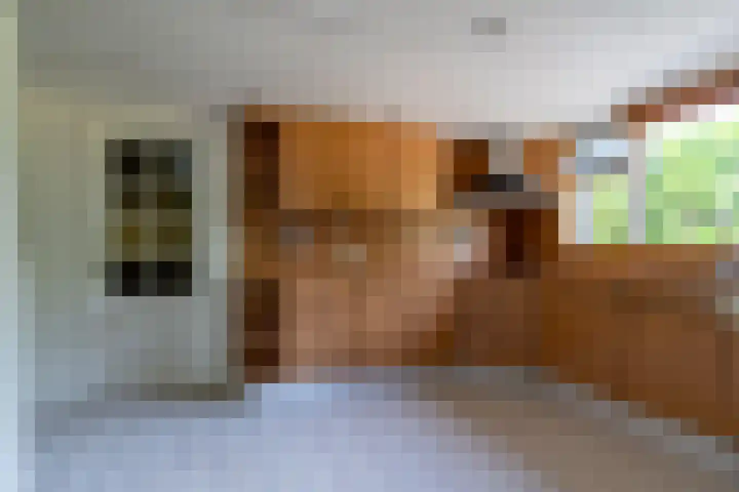 Doniawei 64 Damwâld thumbnail 15