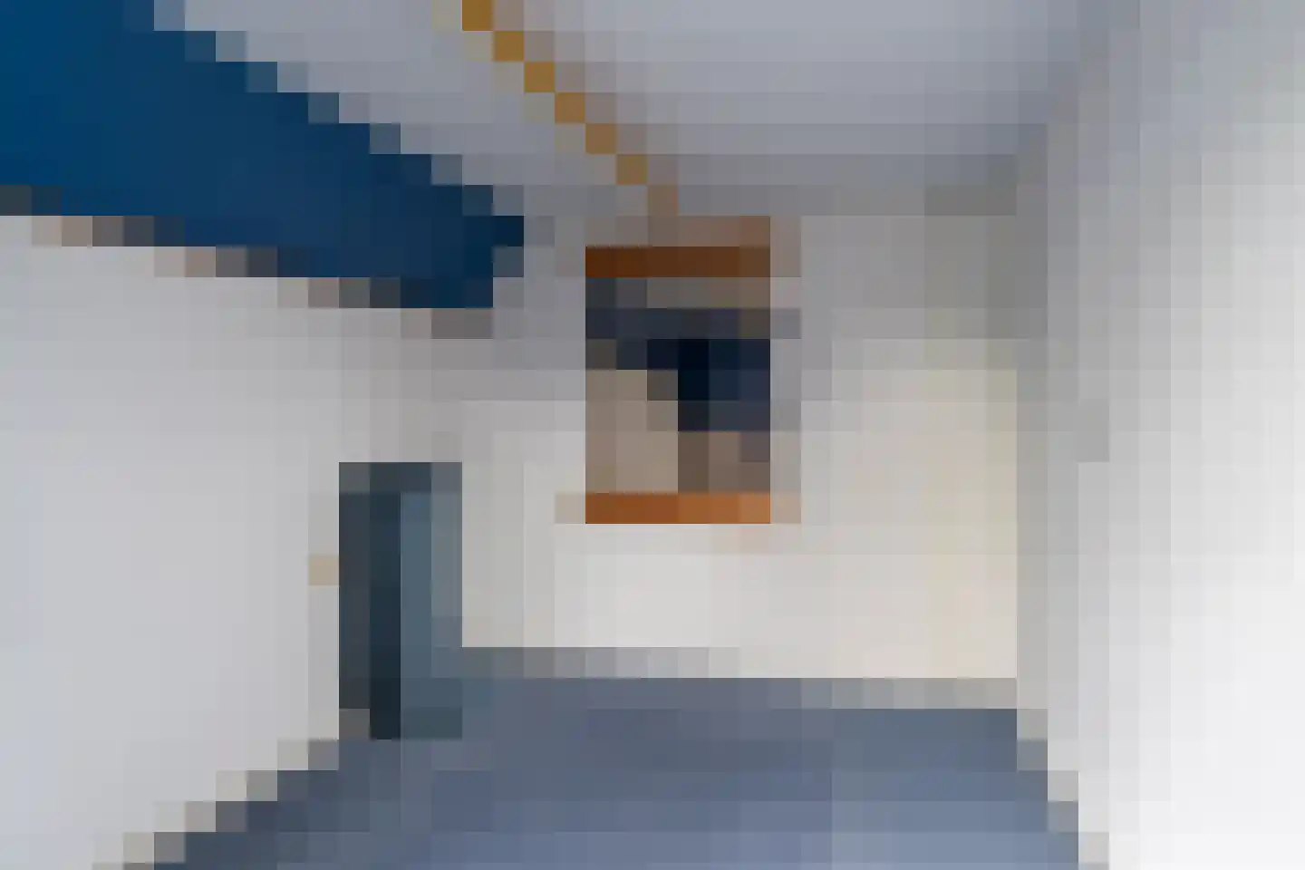 Doniawei 64 Damwâld thumbnail 29