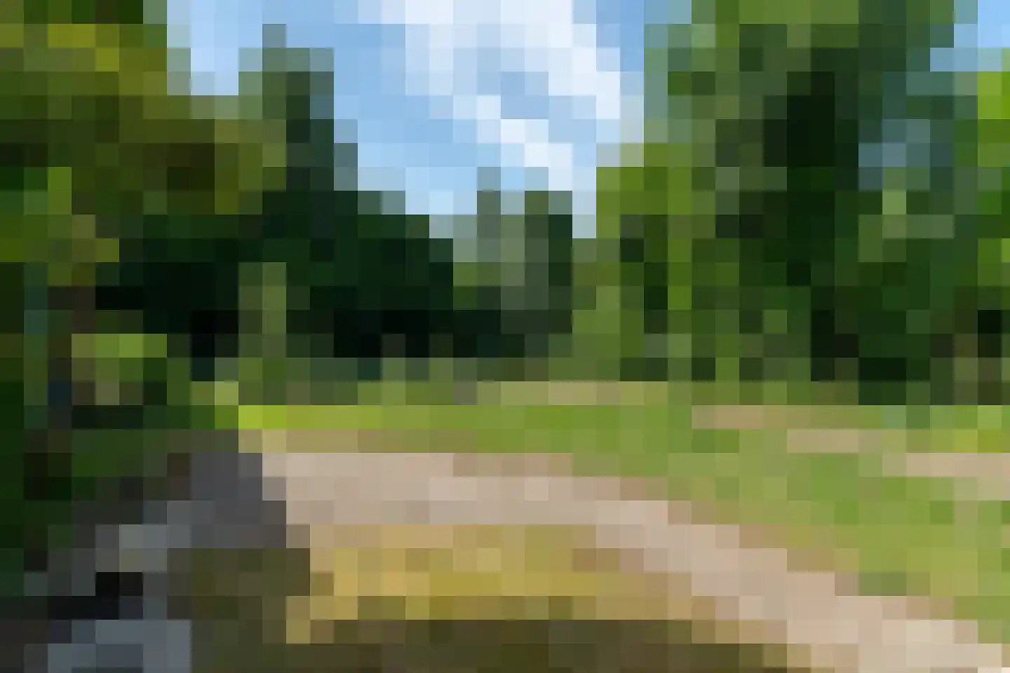 Doniawei 64 Damwâld thumbnail 37