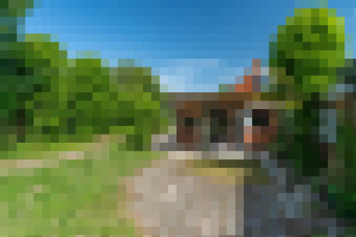 Doniawei 64 Damwâld thumbnail 40
