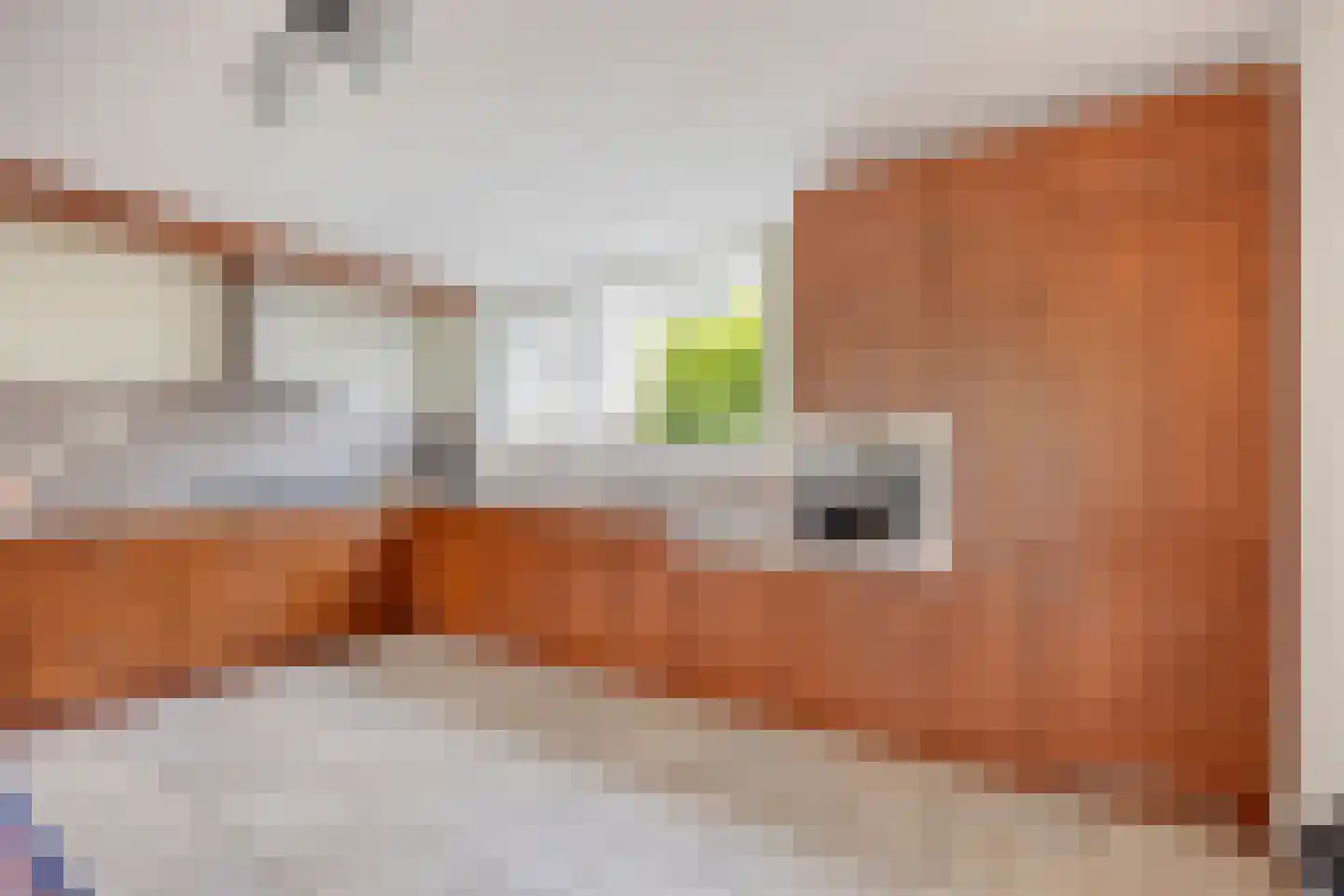 Donizettihof 5 Nieuw-Vennep thumbnail 7