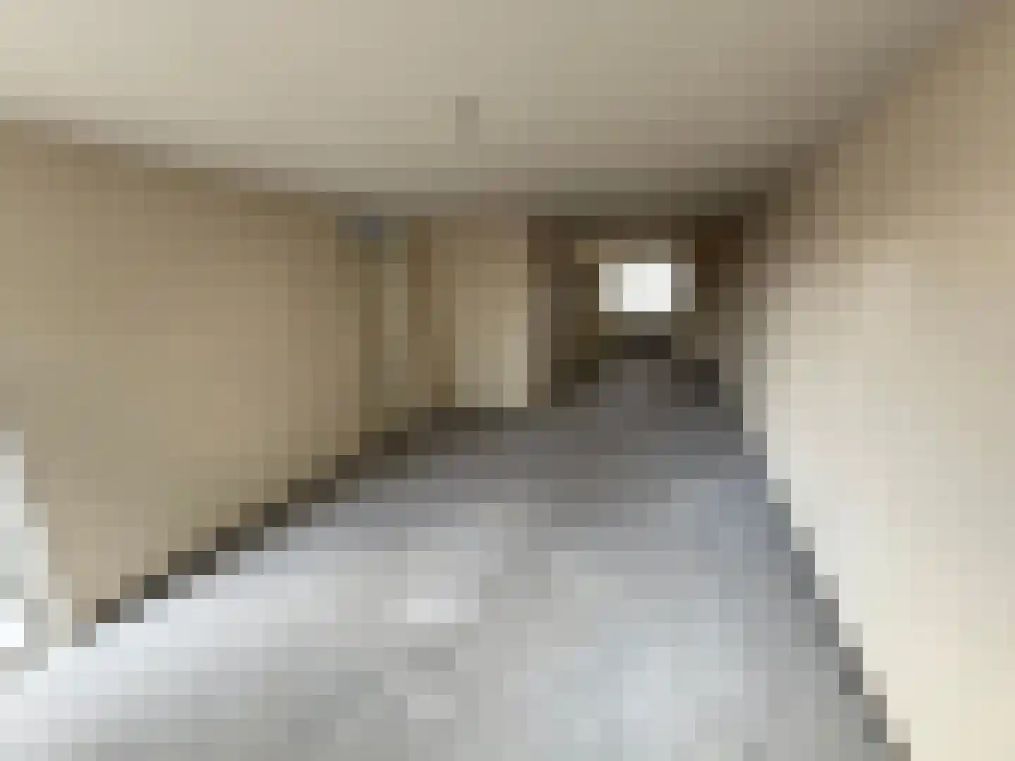 Donizettilaan 109 Eindhoven thumbnail 11