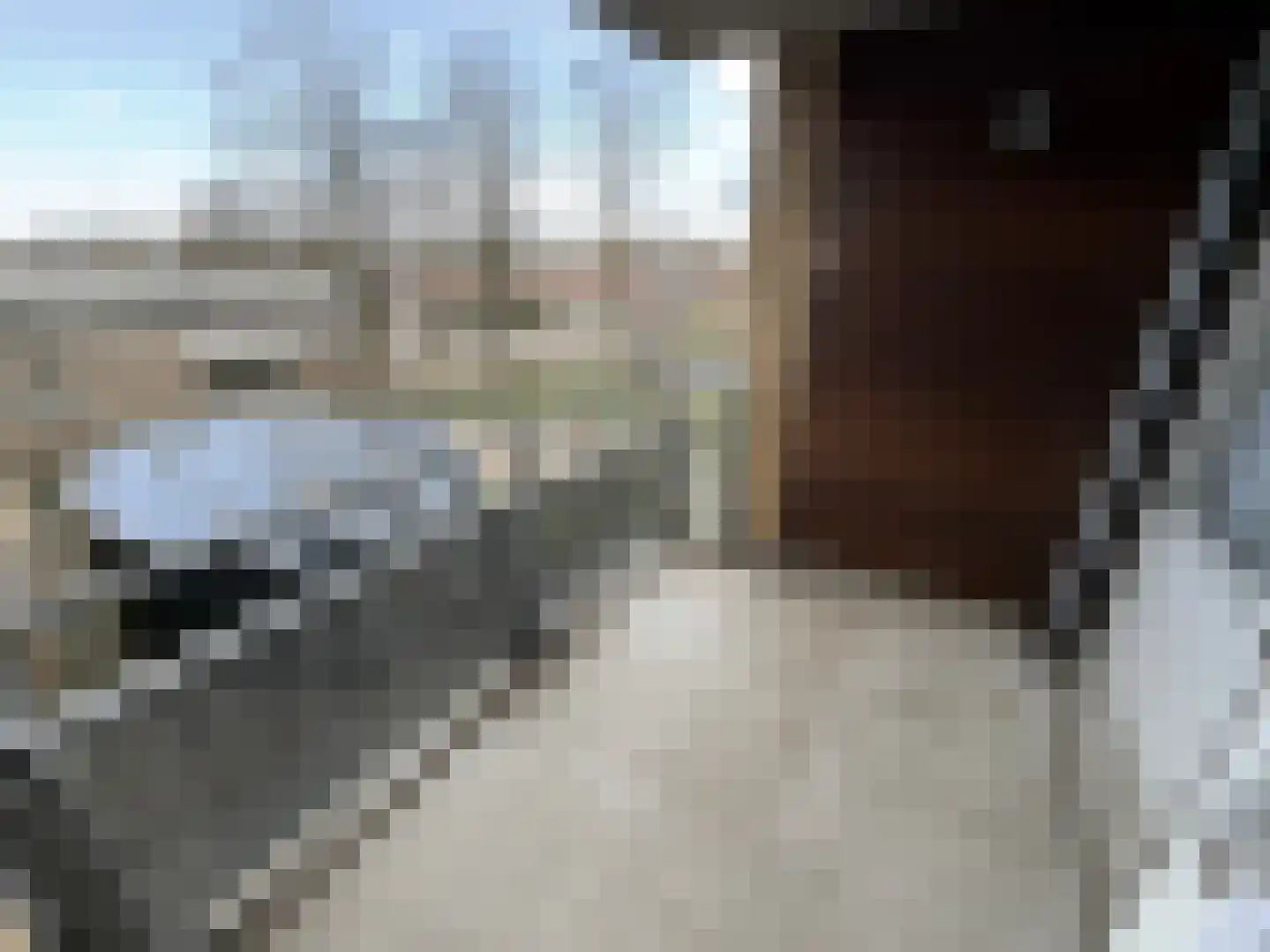 Donizettilaan 109 Eindhoven thumbnail 12