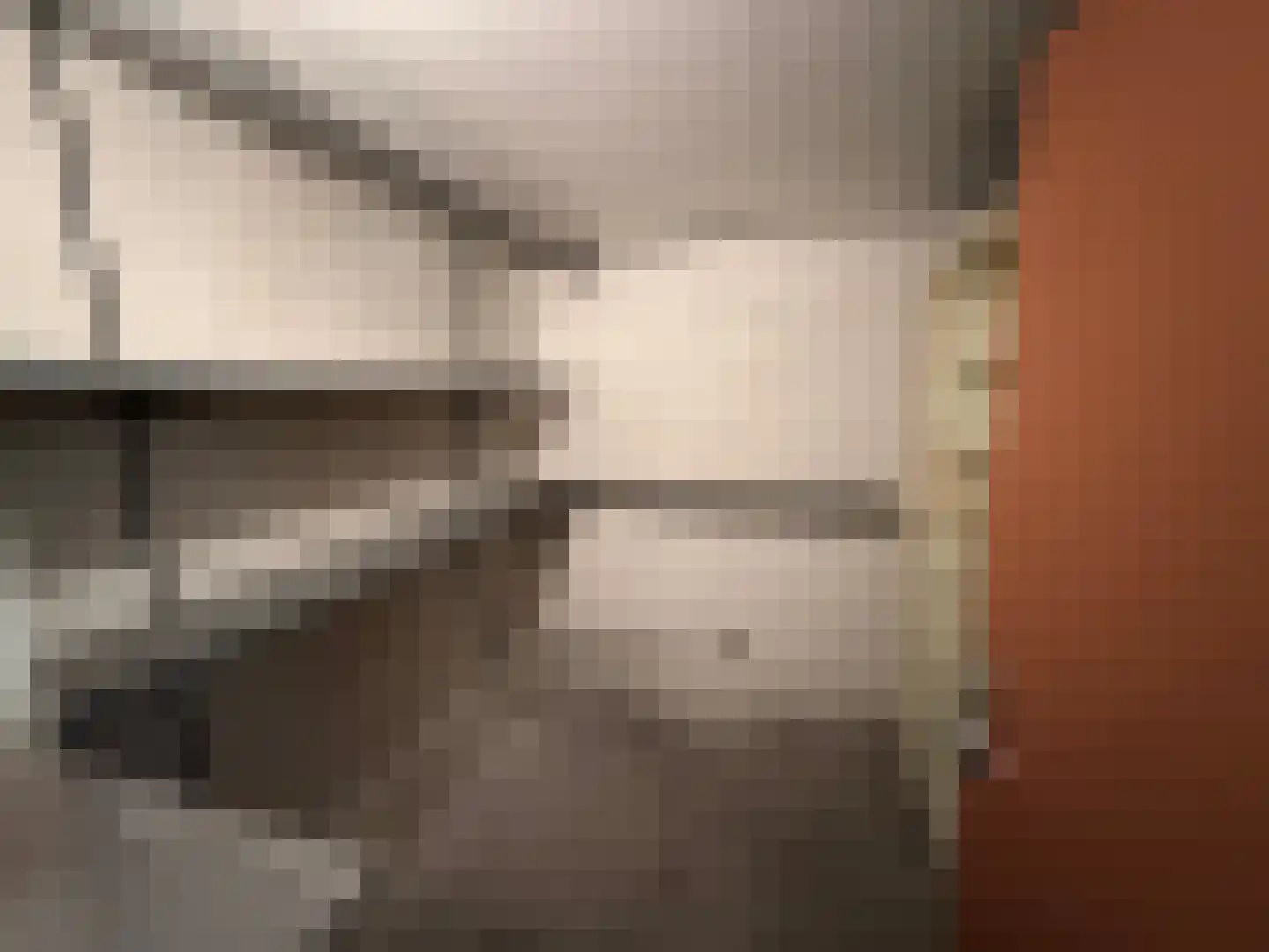Donizettilaan 109 Eindhoven thumbnail 5