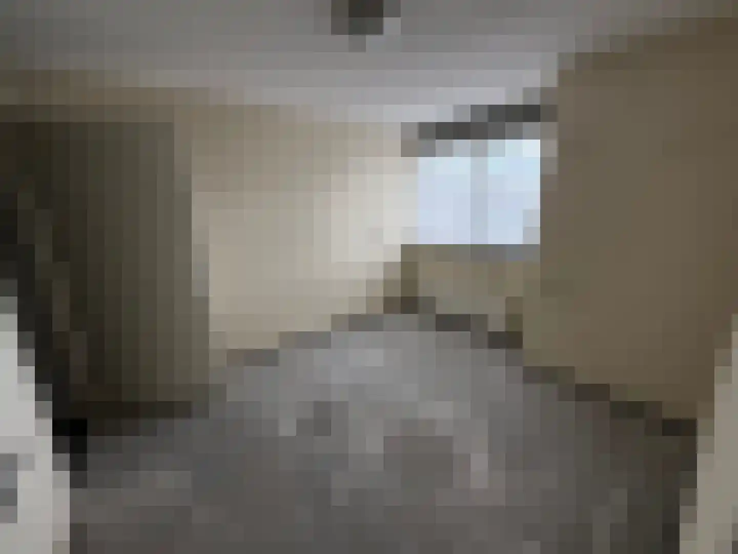 Donizettilaan 109 Eindhoven thumbnail 6