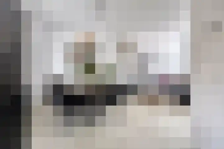 Donizettilaan 26 Apeldoorn thumbnail 12