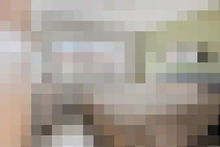 Donizettilaan 26 Apeldoorn thumbnail 18