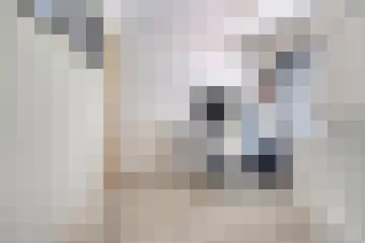 Donizettilaan 26 Apeldoorn thumbnail 24