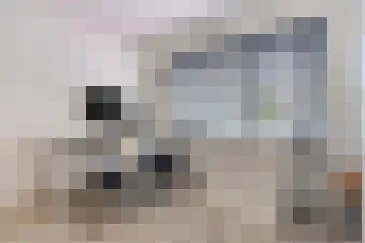 Donizettilaan 26 Apeldoorn thumbnail 25