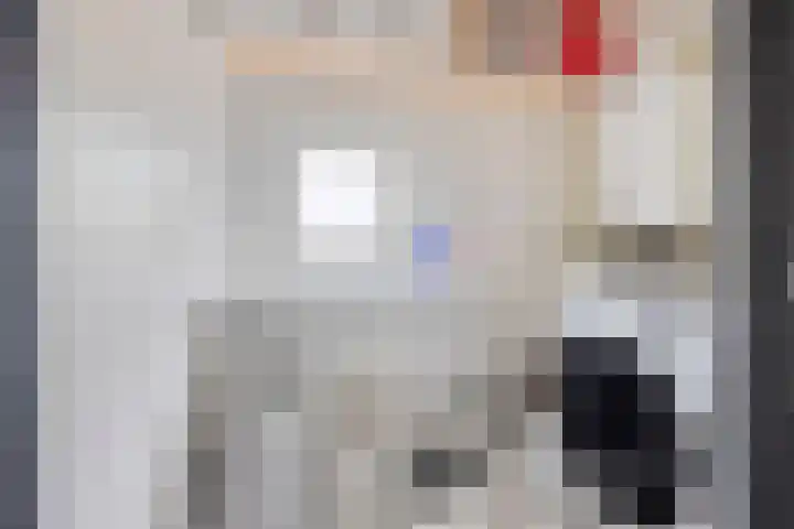 Donizettilaan 26 Apeldoorn thumbnail 26