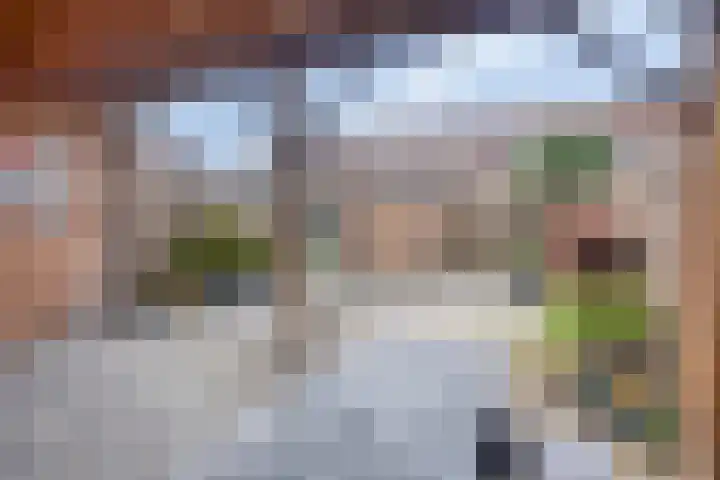Donizettilaan 26 Apeldoorn thumbnail 28