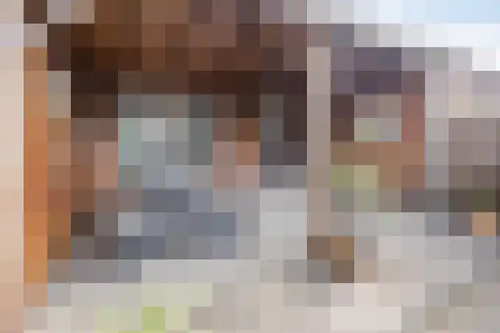 Donizettilaan 26 Apeldoorn thumbnail 29