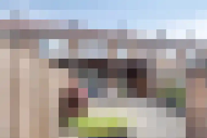 Donizettilaan 26 Apeldoorn thumbnail 30