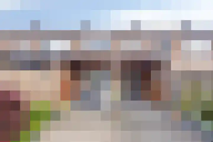 Donizettilaan 26 Apeldoorn thumbnail 31