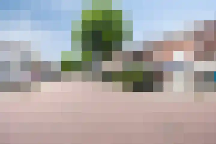 Donizettilaan 26 Apeldoorn thumbnail 39